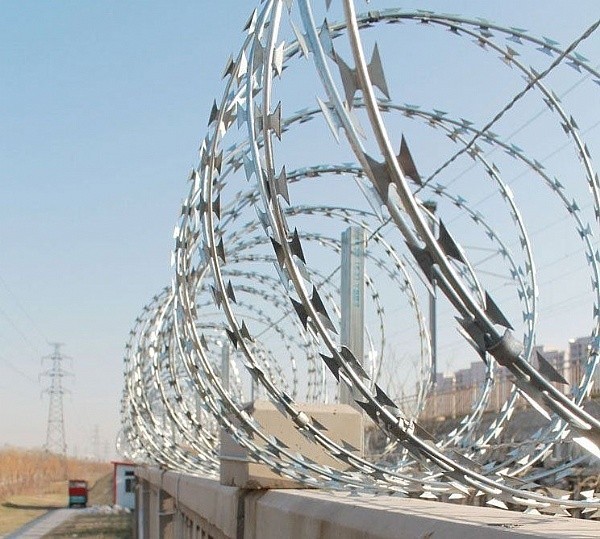 Eletro Galvanized1.5mmx1.5mm Diamond Welded Razor Wire Mesh 3